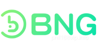 BNG-COLOR Payment Partner